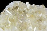 Quartz Crystal Cluster - Brazil #81011-8